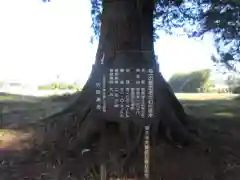 那須神社の自然