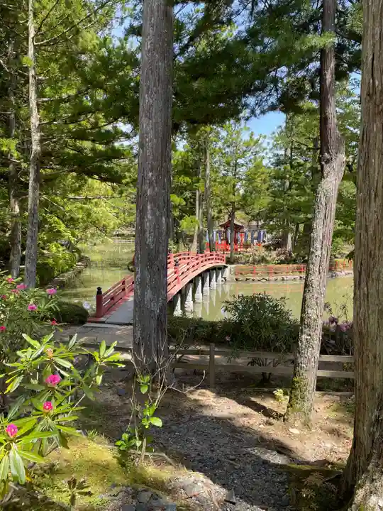 善女龍王社(和歌山県)
