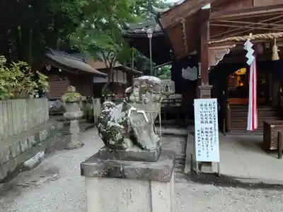 鴨都波神社(奈良県)
