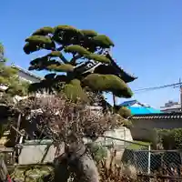 西法寺(大阪府)