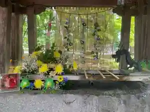 彌彦神社 (伊夜日子神社)の手水舎 2024年06月25日(火)〜(2024年06月25日(火) 09時41分16秒投稿)