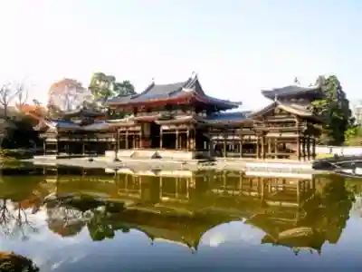 平等院の{uncategorized: "未分類", other: "その他", undefined: "問題あり", building: "その他建物", grave: "お墓", sacred_gate: "鳥居", guardian: "狛犬", statue: "像", buddha: "仏像", history: "歴史", nature: "自然", garden: "庭園", animal: "動物", pagoda: "塔", temizu: "手水舎", mountain_gate: "山門・神門", sanctuary: "本殿・本堂", subordinate: "末社・摂社", art: "芸術", scenery: "景色", jizo: "地蔵", ema: "絵馬", goshuin: "御朱印", omikuji: "おみくじ", items: "授与品その他", amulet: "お守り", goshuincho: "御朱印帳", eats: "食事", festival: "お祭り", votive_dance: "神楽", shichigosan: "七五三参", wedding: "結婚式", experience: "体験その他", initially: "初詣", around: "周辺", anti_infection: "感染症対策"}
