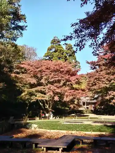 明月院(神奈川県)