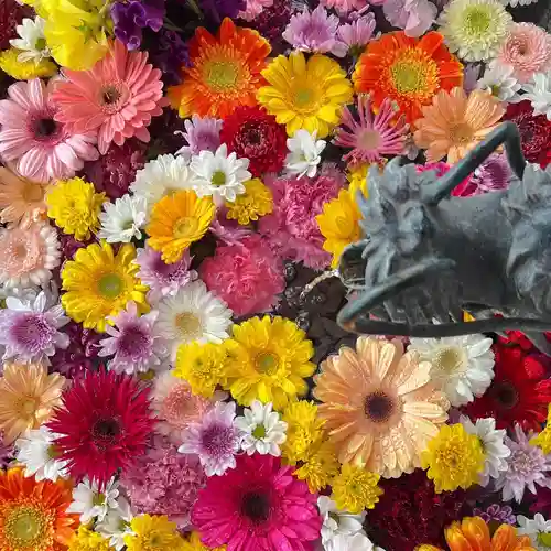 札幌諏訪神社の手水舎