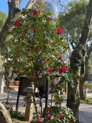愛宕神社の{uncategorized: "未分類", other: "その他", undefined: "問題あり", building: "その他建物", grave: "お墓", sacred_gate: "鳥居", guardian: "狛犬", statue: "像", buddha: "仏像", history: "歴史", nature: "自然", garden: "庭園", animal: "動物", pagoda: "塔", temizu: "手水舎", mountain_gate: "山門・神門", sanctuary: "本殿・本堂", subordinate: "末社・摂社", art: "芸術", scenery: "景色", jizo: "地蔵", ema: "絵馬", goshuin: "御朱印", omikuji: "おみくじ", items: "授与品その他", amulet: "お守り", goshuincho: "御朱印帳", eats: "食事", festival: "お祭り", votive_dance: "神楽", shichigosan: "七五三参", wedding: "結婚式", experience: "体験その他", initially: "初詣", around: "周辺", anti_infection: "感染症対策"}