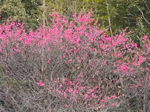紫雲院(奈良県)