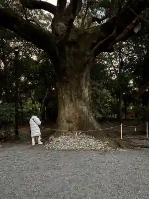 月夜見宮（豊受大神宮別宮）(三重県)