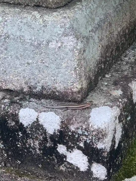 海神社(和歌山県)