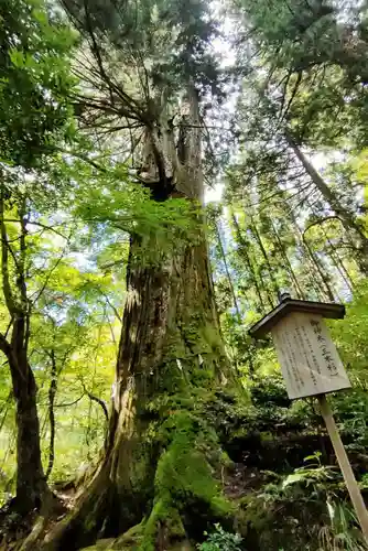 花園神社の自然