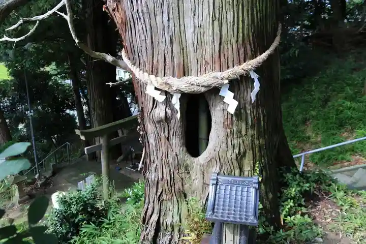 阿久津「田村神社」(郡山市阿久津町)旧社名:伊豆箱根三嶋三社の自然