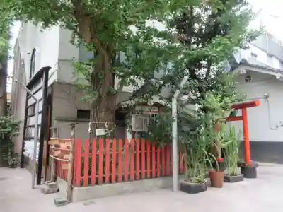 銀杏岡八幡神社(東京都)