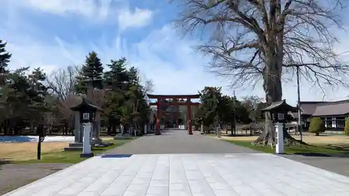北海道護國神社の景色
