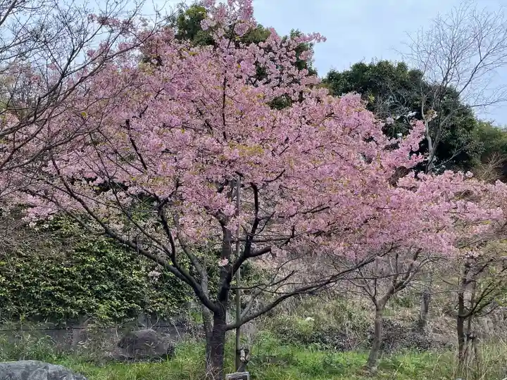 橿森神社(岐阜県)