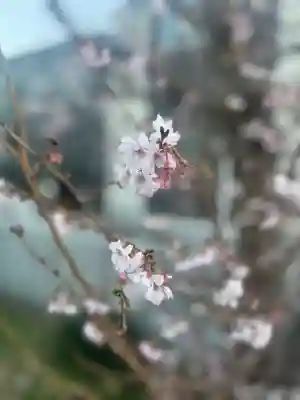産土神社(大阪府)