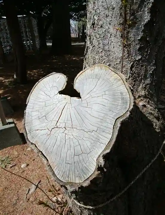 大谷地神社の自然