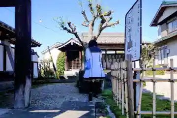 本亮院(愛知県)
