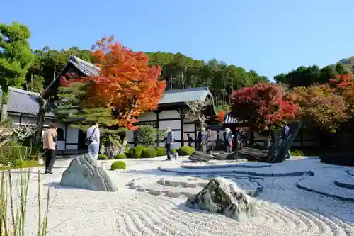 圓光寺の庭園