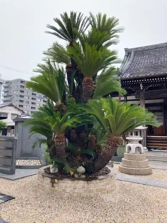 善西寺(三重県)