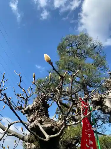 長福寺の自然