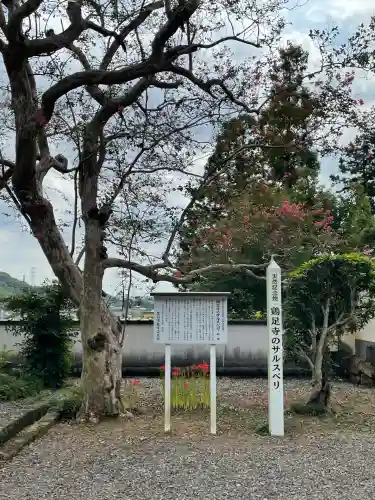 鶏足寺(栃木県)