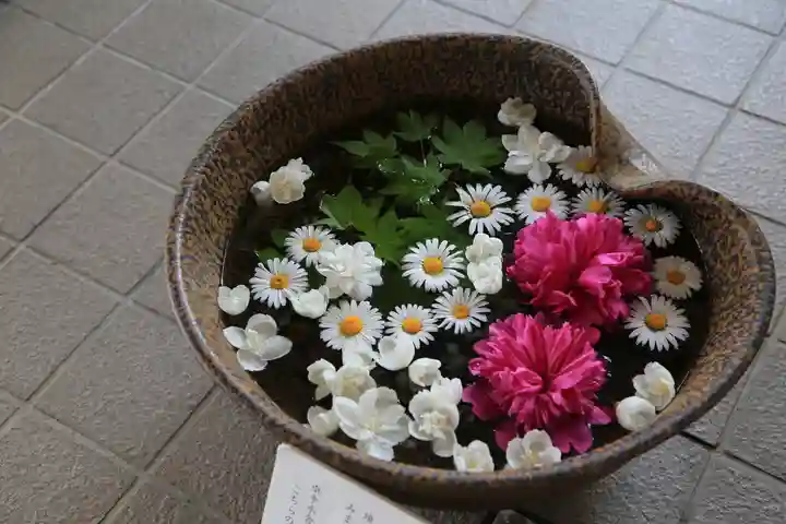 美瑛神社の手水舎