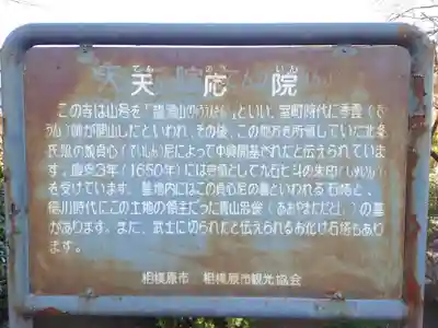 天応院(神奈川県)