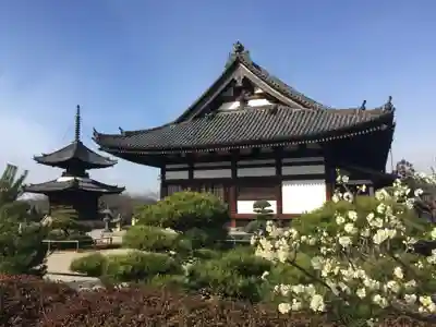 叡福寺の本殿・本堂