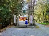 新宮神社の鳥居