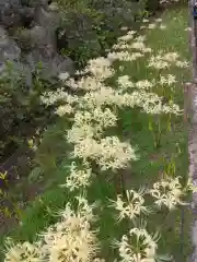 横浜　西方寺(神奈川県)