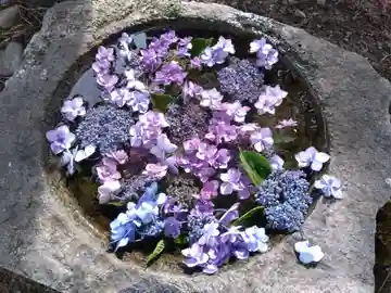 観音寺(富山県)