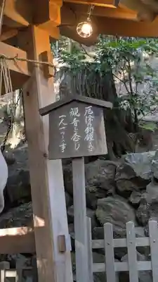 安養寺(立木観音)(滋賀県)