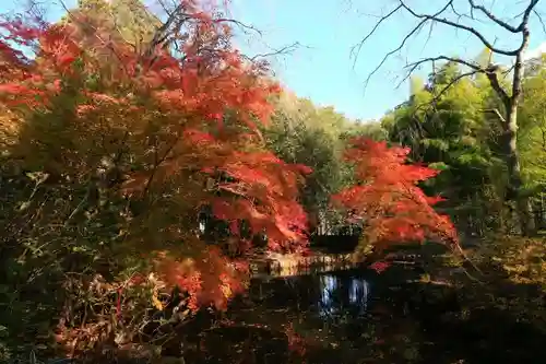 青葉神社の自然