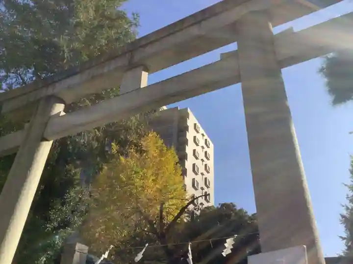 浅間神社の鳥居
