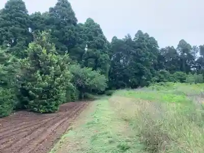 若宮八幡神社(千葉県)