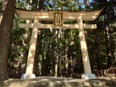 飛瀧神社(熊野那智大社別宮)の鳥居