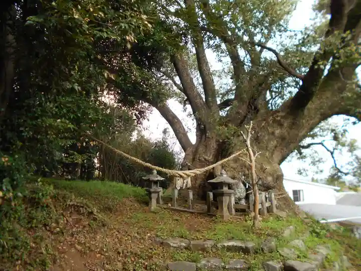 打越天満宮の自然