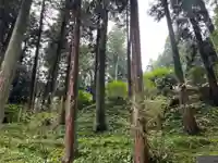 大宮温泉神社(栃木県)