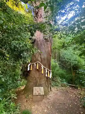 陸奥総社宮(宮城県)