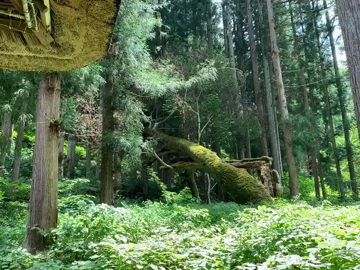 駒嶽神社(福島県)