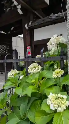 行願寺（革堂）(京都府)