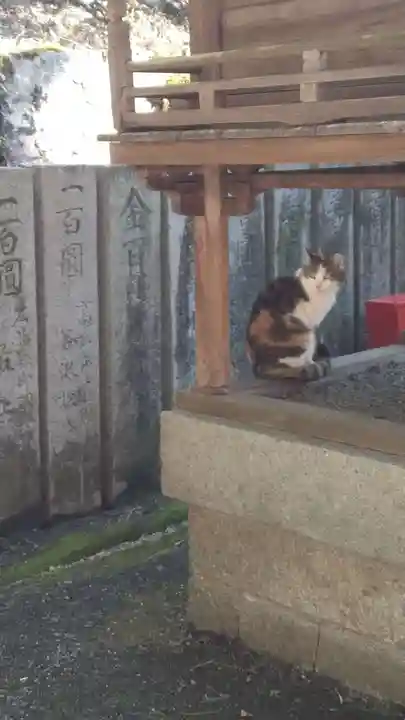 最上稲荷山妙教寺(岡山県)