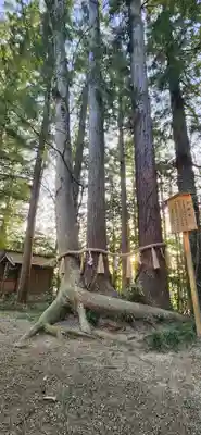 宇那禰神社(宮城県)