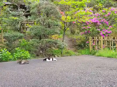 白金氷川神社(東京都)