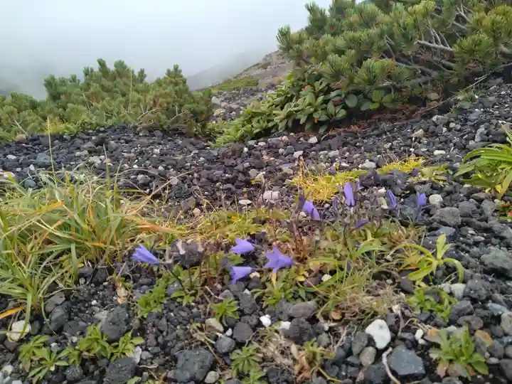 乗鞍本宮(岐阜県)