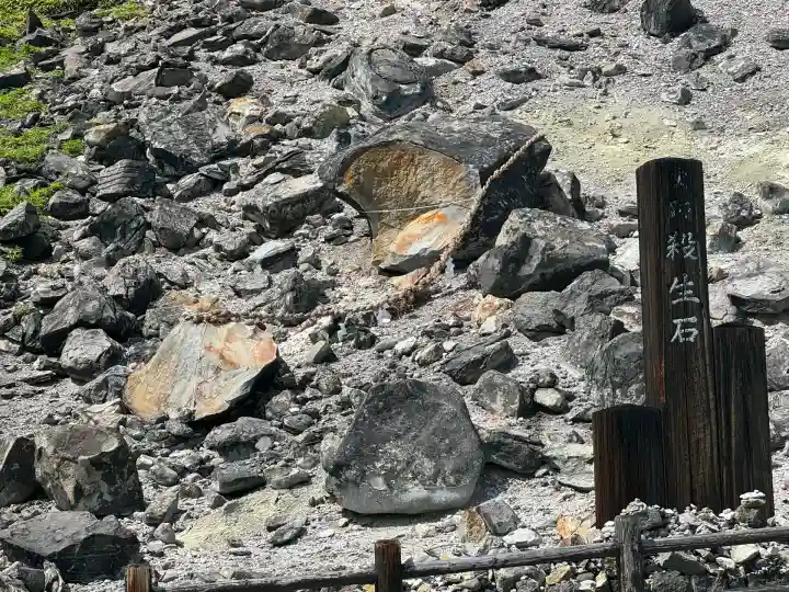 那須温泉神社(栃木県)