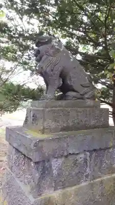 神楽神社の狛犬