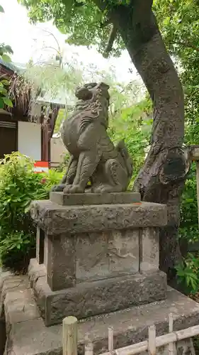 稲毛神社の狛犬