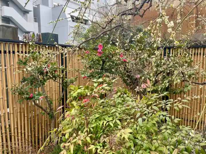 西応寺の{uncategorized: "未分類", other: "その他", undefined: "問題あり", building: "その他建物", grave: "お墓", sacred_gate: "鳥居", guardian: "狛犬", statue: "像", buddha: "仏像", history: "歴史", nature: "自然", garden: "庭園", animal: "動物", pagoda: "塔", temizu: "手水舎", mountain_gate: "山門・神門", sanctuary: "本殿・本堂", subordinate: "末社・摂社", art: "芸術", scenery: "景色", jizo: "地蔵", ema: "絵馬", goshuin: "御朱印", omikuji: "おみくじ", items: "授与品その他", amulet: "お守り", goshuincho: "御朱印帳", eats: "食事", festival: "お祭り", votive_dance: "神楽", shichigosan: "七五三参", wedding: "結婚式", experience: "体験その他", initially: "初詣", around: "周辺", anti_infection: "感染症対策"}