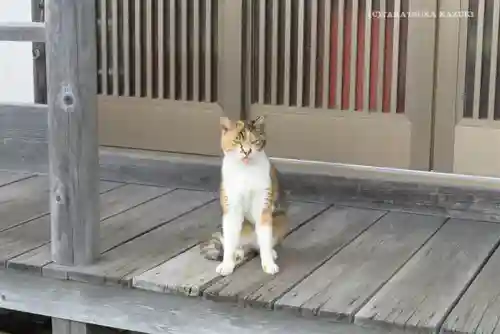 大久保山 自性院の動物