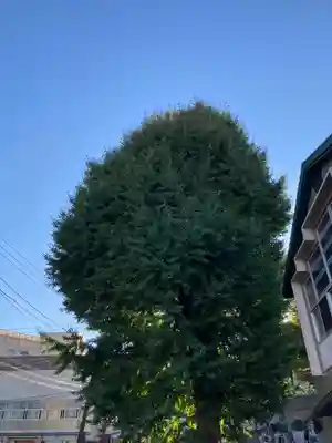 宗興寺(神奈川県)